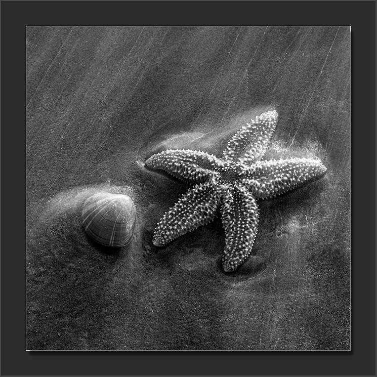 Beached - Monochromatic