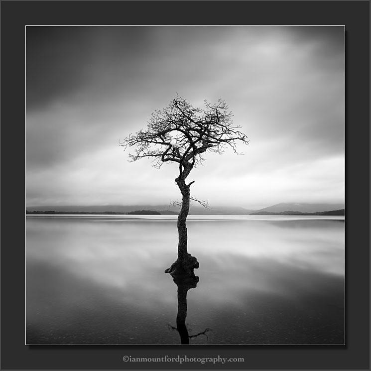 Solitude - Monochromatic