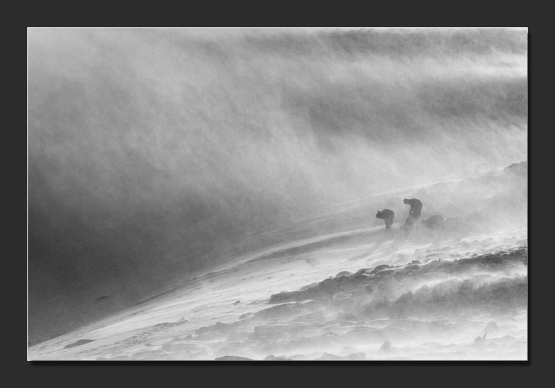 Winter Walkers - Monochromatic