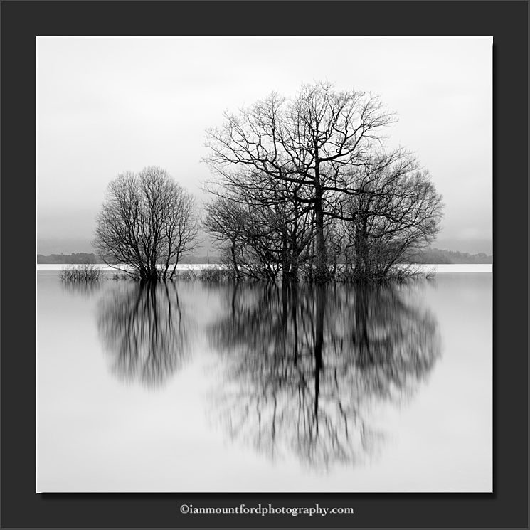 Mirrored - Monochromatic