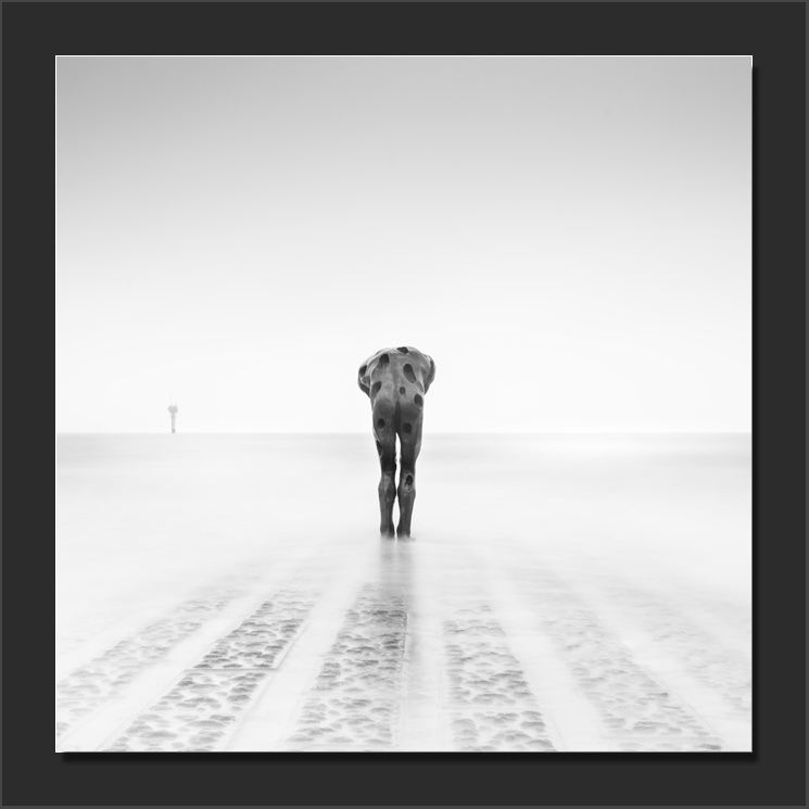 Le Plongeur - Monochromatic