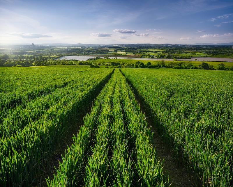Not Far From Home - Co. Meath