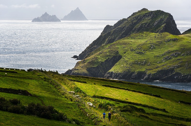 Farmers Walk - Kerry