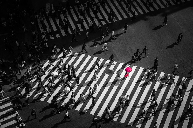 Lady In Pink - Japan