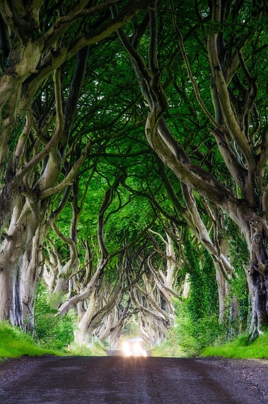 Caught In The Headlights - Antrim