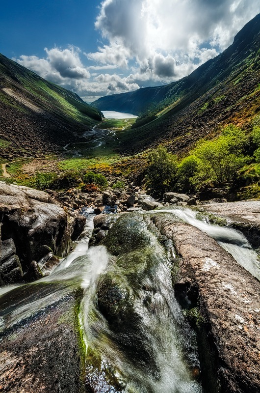 Into The Glen - Wicklow
