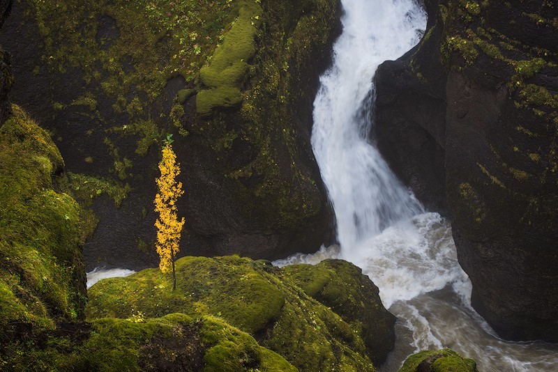 Lady and the Fall - Iceland