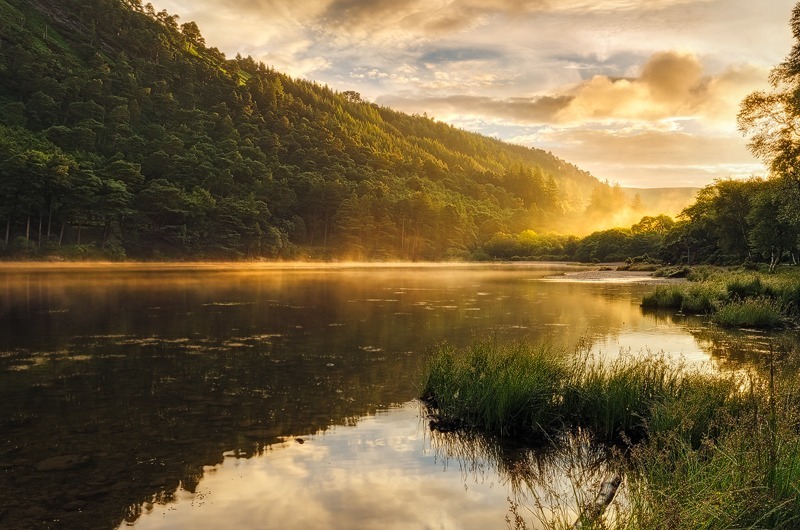 Misty Morning - Wicklow