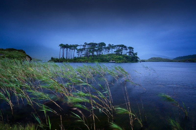 Whispers In The Wind - Galway