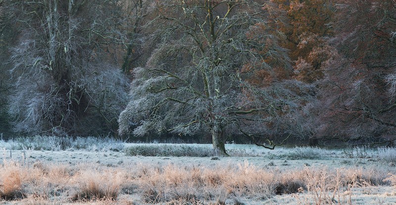 Natures Palette - Co. Meath