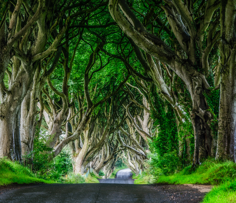 Into The Dark - Antrim