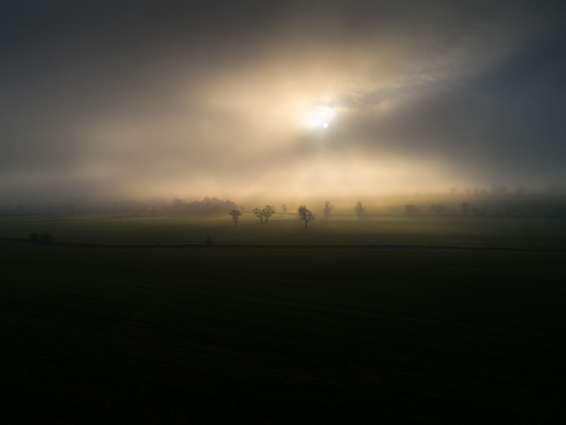 The Fog - Co. Meath