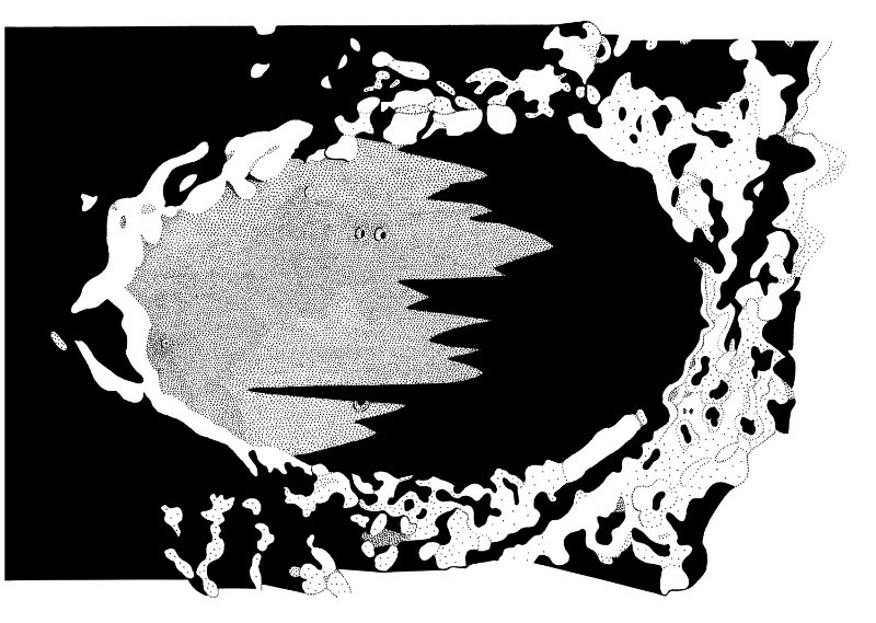 Plato (Ink Drawing) - Milan Blazek's Ink Drawings