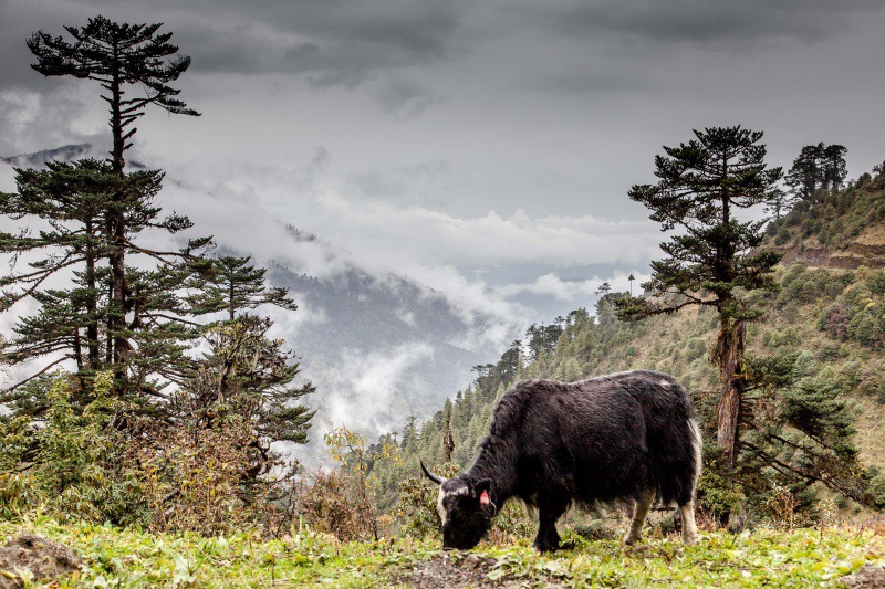  - Bhutan