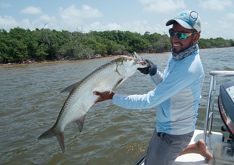 Yet another Griffo tarpon - Espiritu Santo Bay, Mexico, June 2018