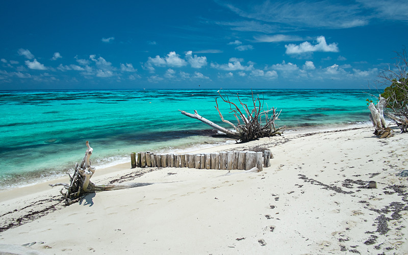  - Seychelles - Denis Island