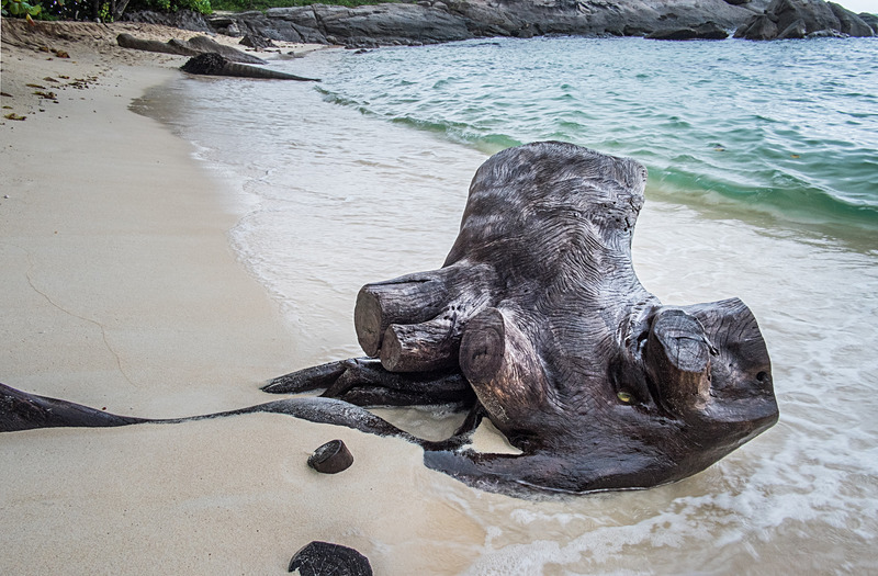  - Seychelles - Denis Island
