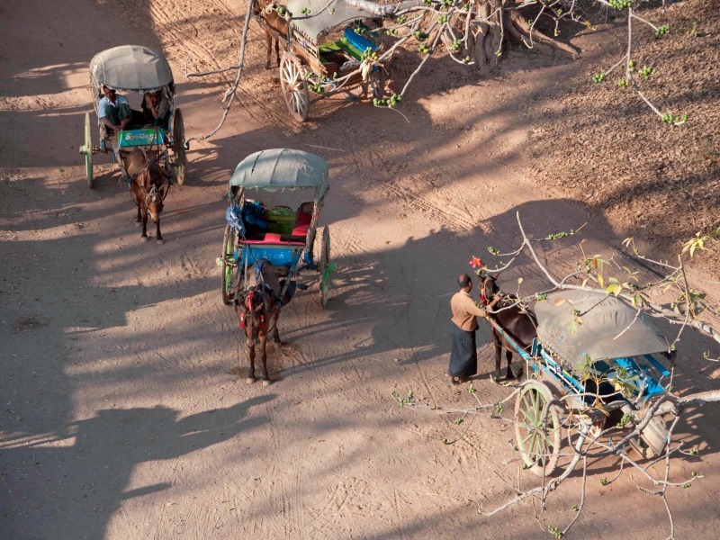Horse taxi