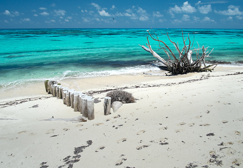  - Seychelles - Denis Island