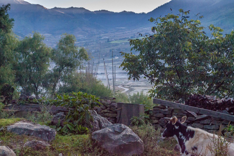  - Bhutan