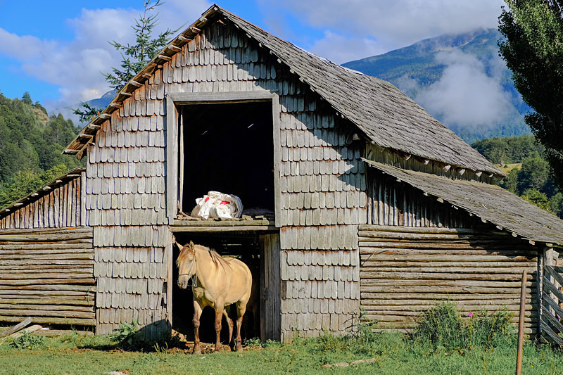 Patagonia 023 - Chile and Chilian Patagonia