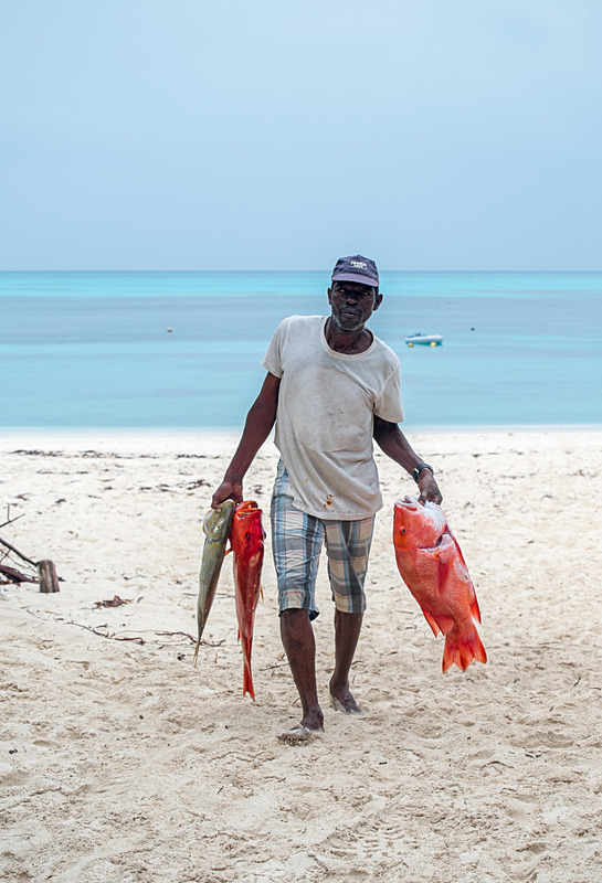  - Seychelles - Denis Island