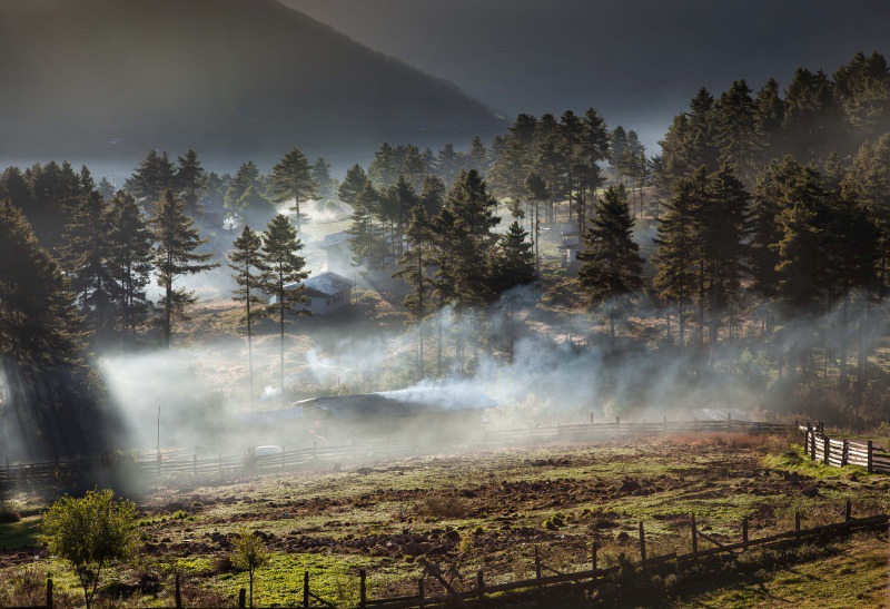 Dawn at Dewachen - Bhutan