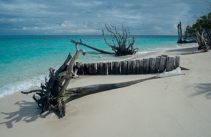 - Seychelles - Denis Island