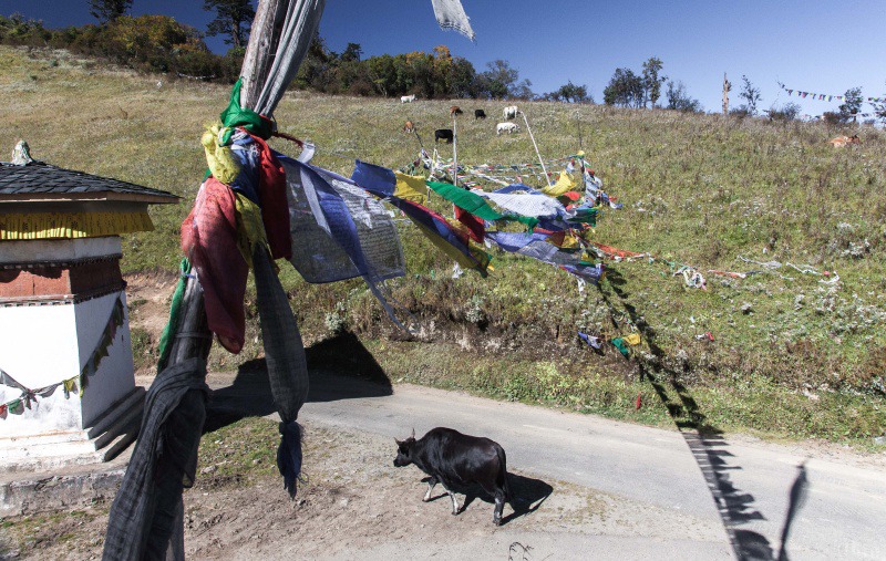  - Bhutan