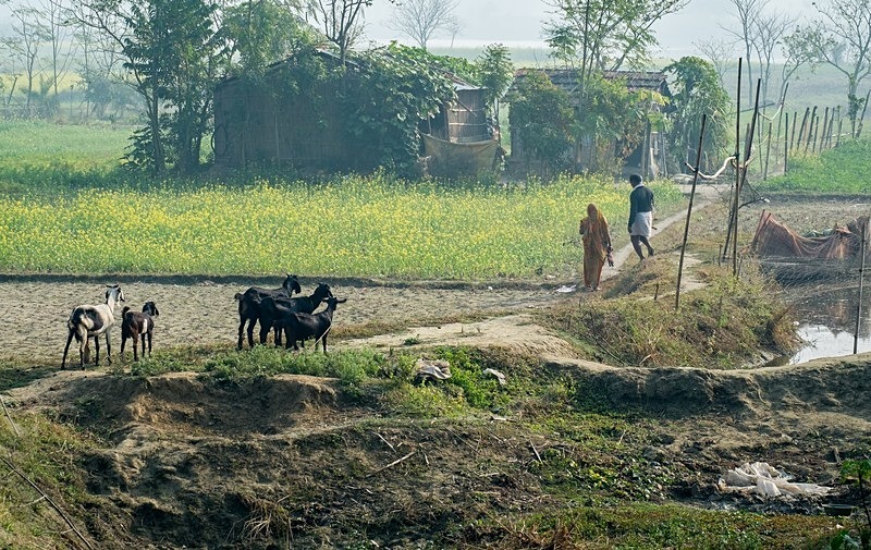  - Calcutta and the Hugli River