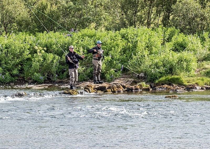  - Fishing in Iceland's Laxa I kjos River. September 2020.
