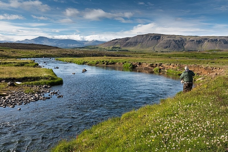  - Fishing in Iceland's Laxa I kjos River. September 2020.