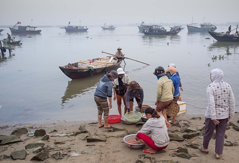 Fish being landed on the Thu Bon River - Vietnam January 2013