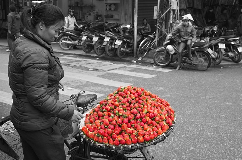 Hanoi - the strawberry seller - Vietnam January 2013
