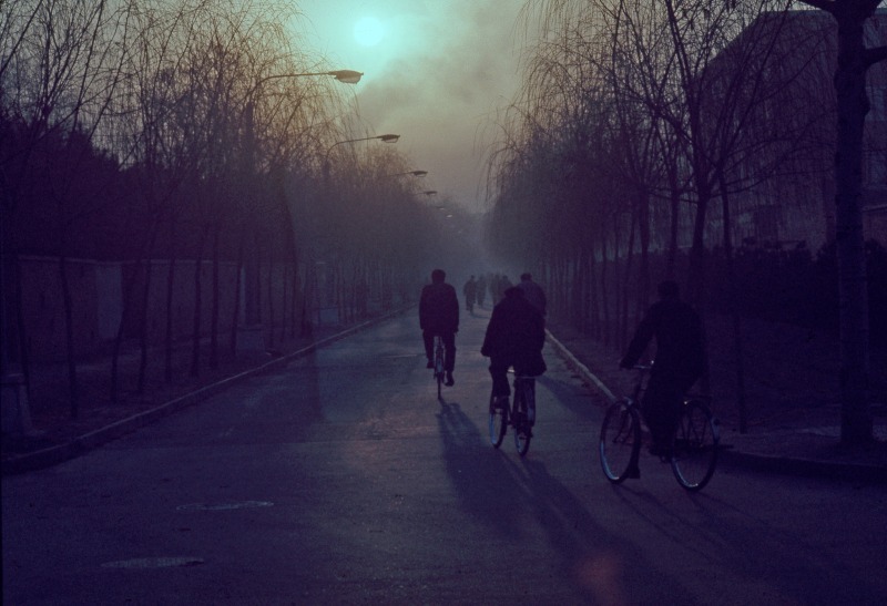 Beijing cyclists at dawn