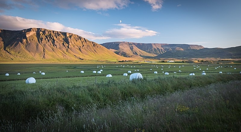  - Fishing in Iceland's Laxa I kjos River. September 2020.