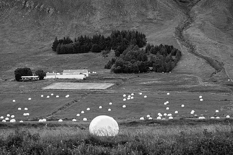  - Fishing in Iceland's Laxa I kjos River. September 2020.