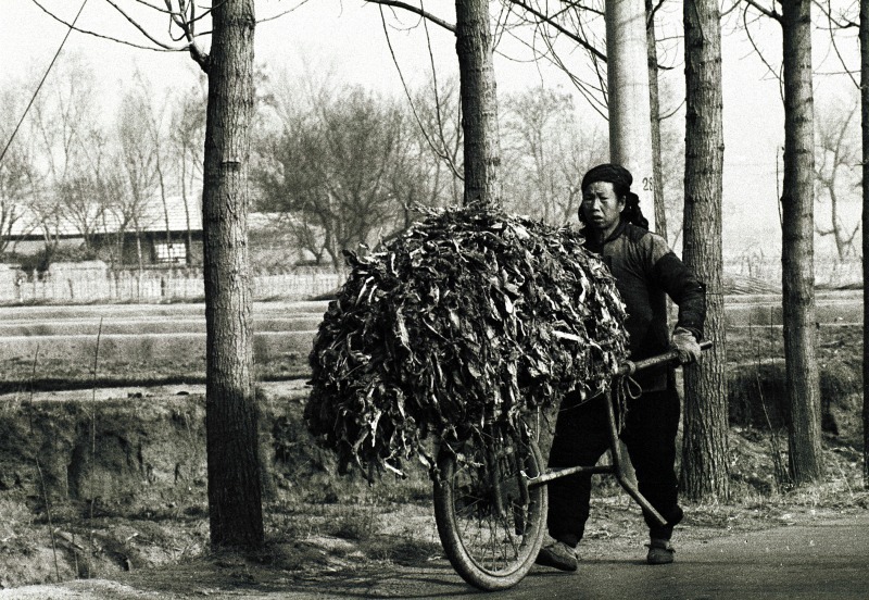 A peasant in Mao's China