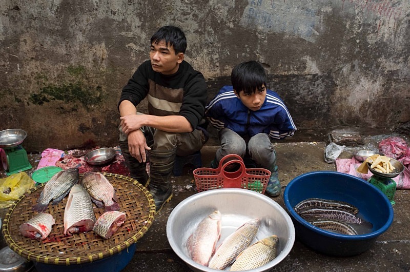 Hanoi - fish street - Vietnam January 2013
