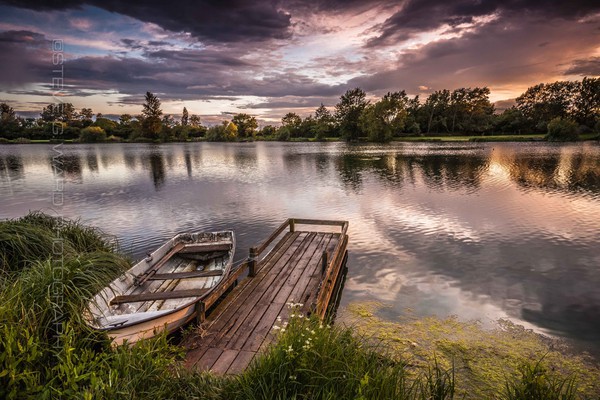 S U M M E R - H E Y B R I D G E