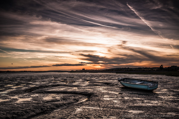 _MG_0120 - T W O T R E E I S L A N D