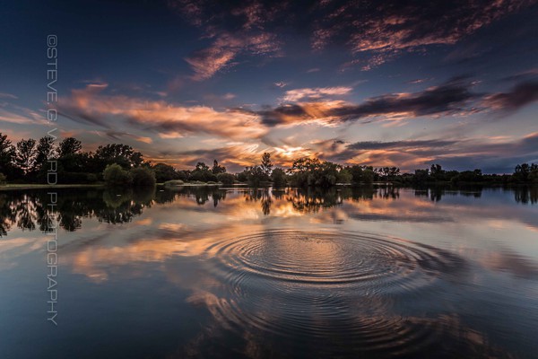 R I P P L E - H E Y B R I D G E