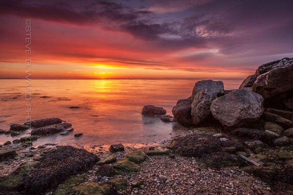 R E S O L U T E - R E C U L V E R