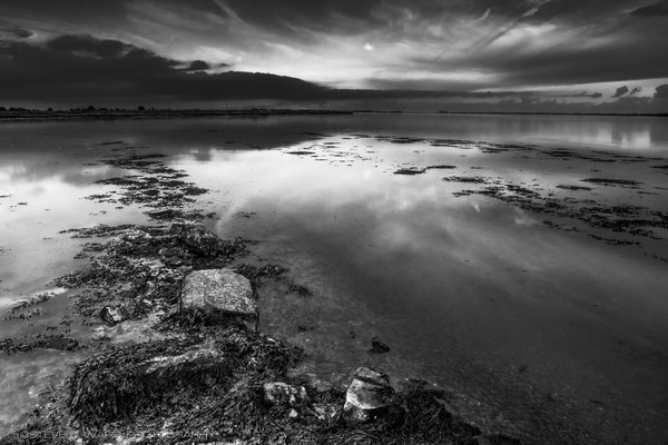 Pathfinder - Black & White Collection