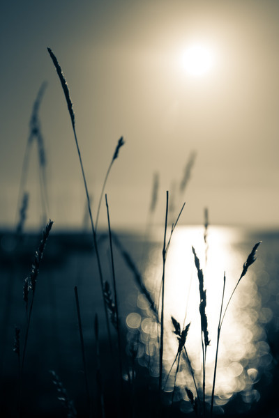 Planet, Earth, Canvas, Essex, Kent, Maldon, Maylandsea, Botany, King, Photography, sea seascapes landscapes red yellow orange sunsets river coast stre
