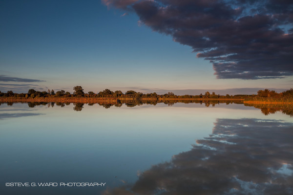 W I N G S - M A L D O N