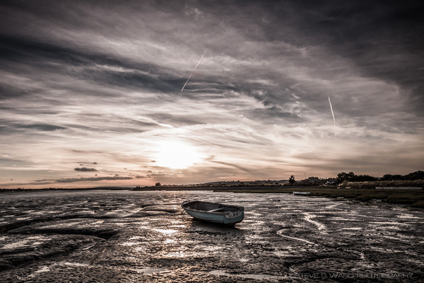 _MG_0085 - T W O T R E E I S L A N D