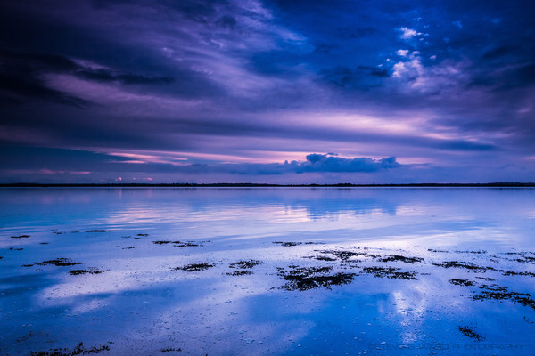 B L U E W A T E R - O S E A - I S L A N D