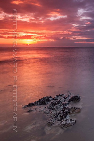 P A N D O R A - W E S T B A Y