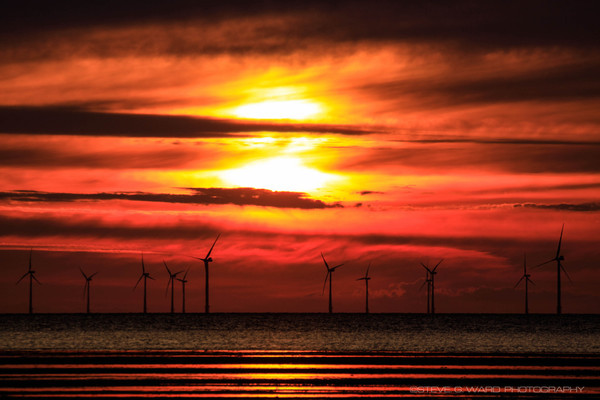 2 SUN - M I N N I S  -  B A Y